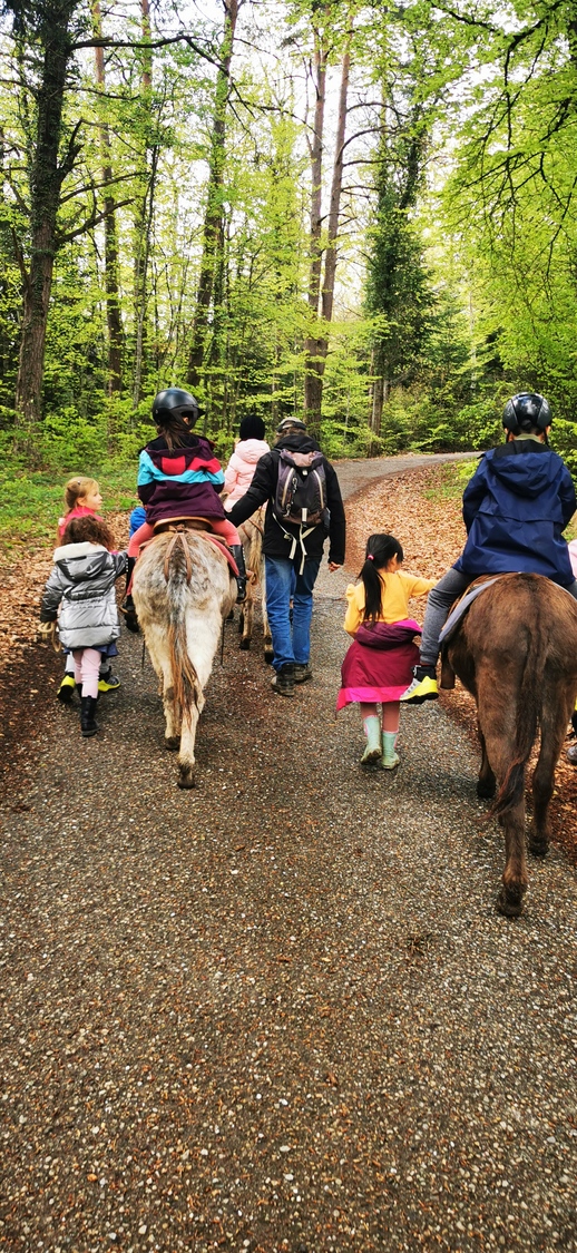 Promenade à dos d'âne en forêt avec les enfants Kids Trip